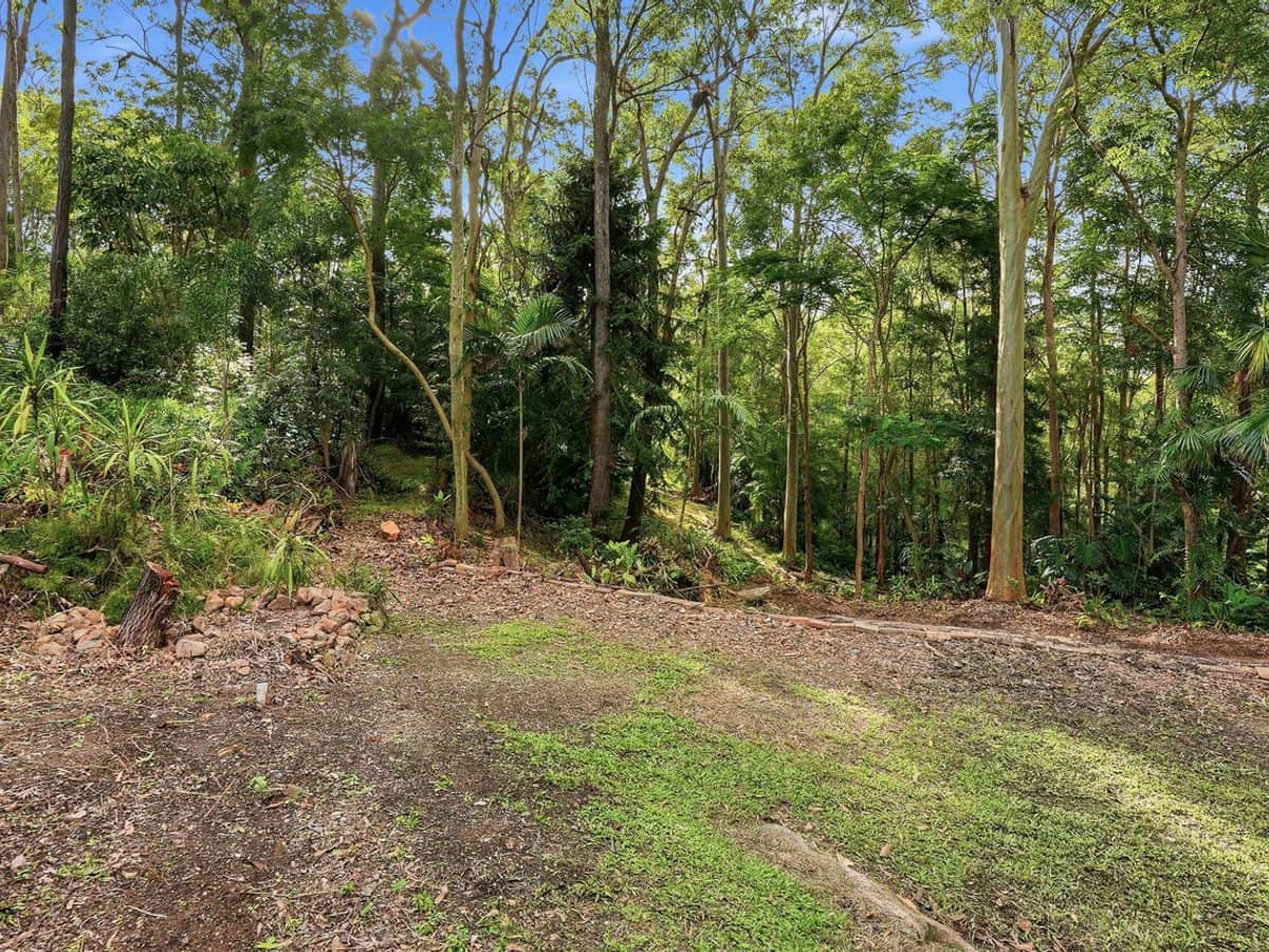 135 Simpsons Road, ELANORA - Thumbnail 29