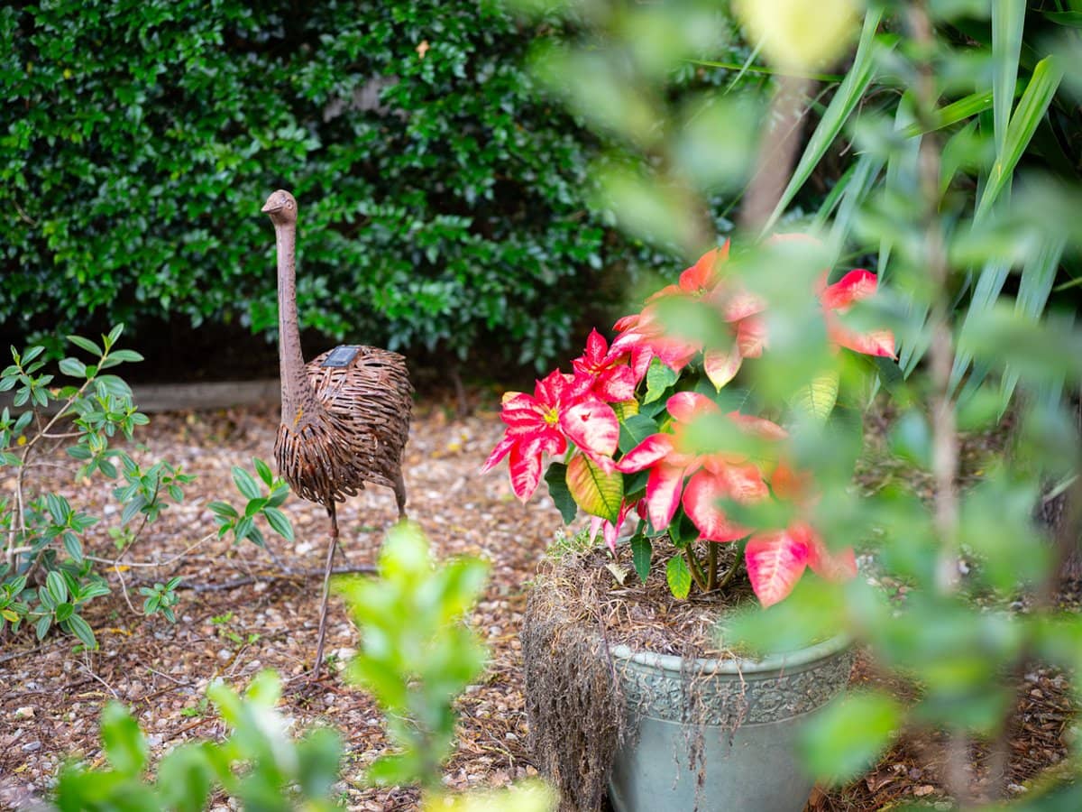 26 Riverlea Waters Drive, NERANG - Thumbnail 31