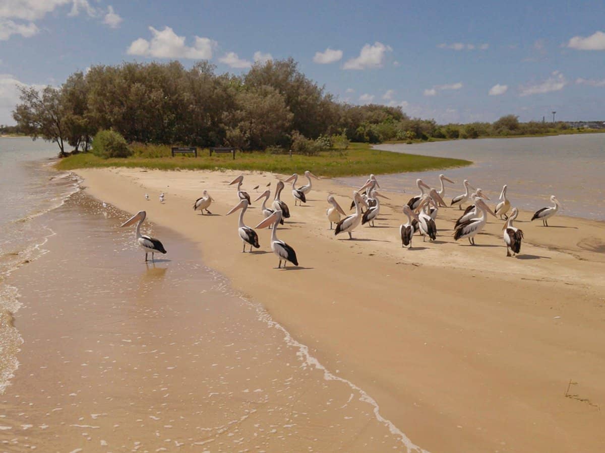 360 Marine Parade, LABRADOR - Thumbnail 22