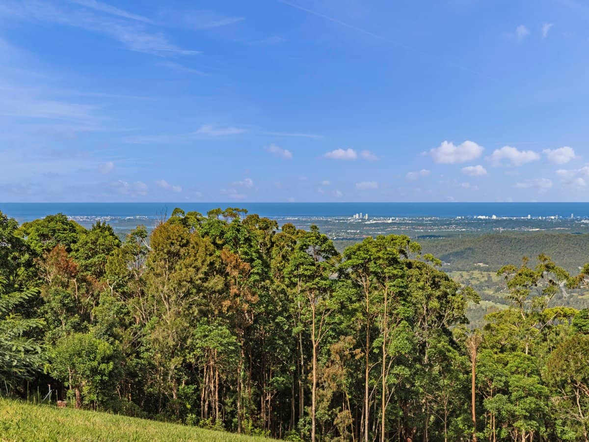 89 Guanaba Road, TAMBORINE MOUNTAIN - Thumbnail 9