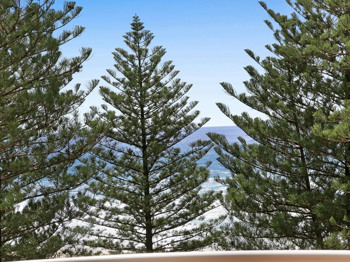 220 The Esplanade, Burleigh Heads - Thumbnail 21