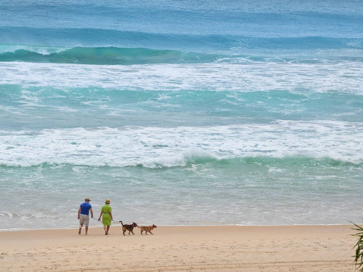 501/6 Palm Beach Avenue, Palm Beach - Thumbnail 9