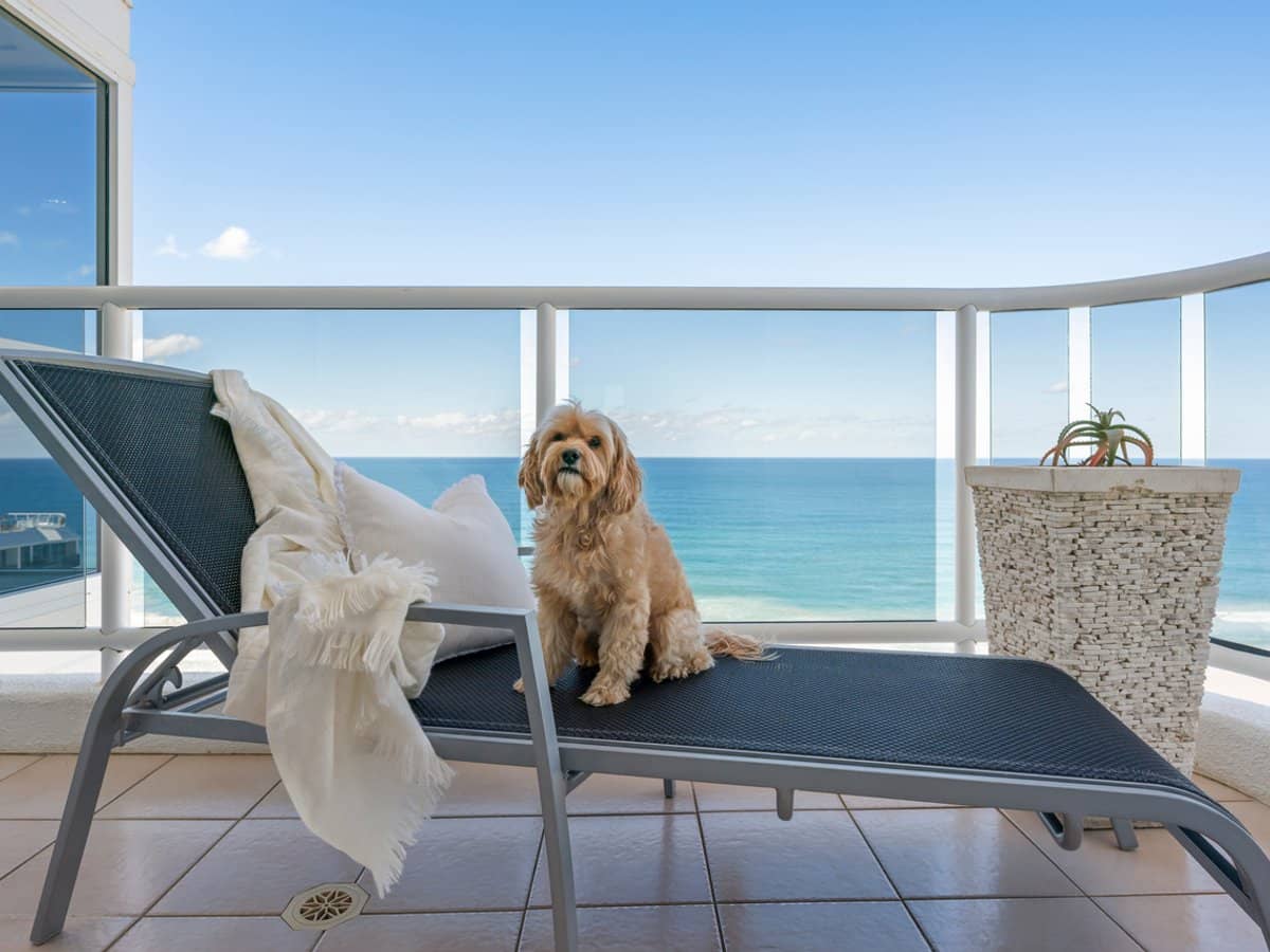 59 Pacific Street, MAIN BEACH - Thumbnail 17