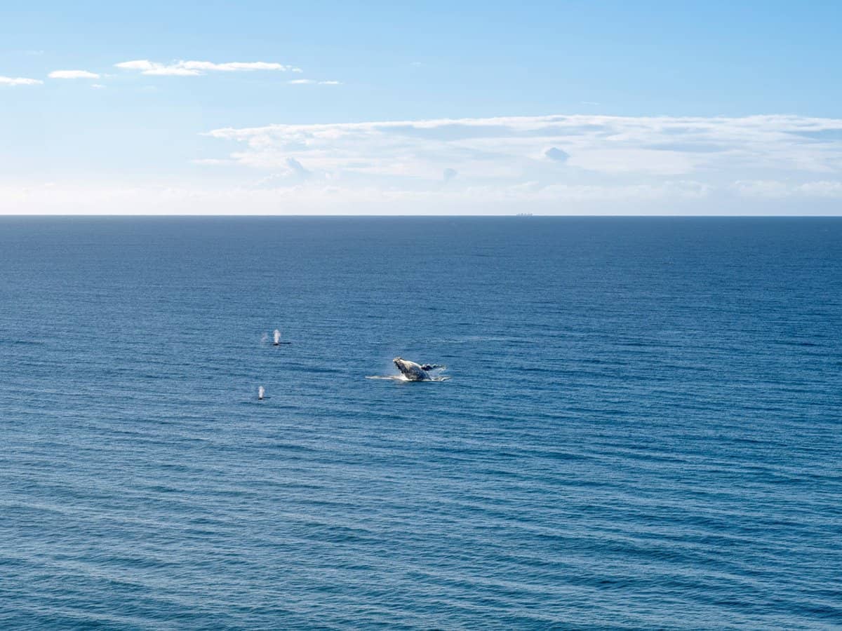 59 Pacific Street, MAIN BEACH - Thumbnail 20