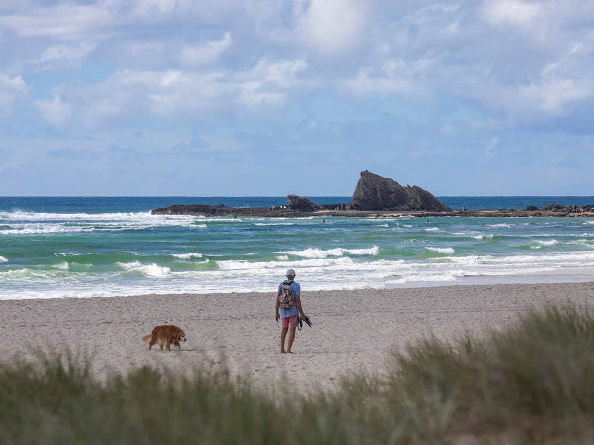 2/1031 Gold Coast Highway, Palm Beach - Thumbnail 18