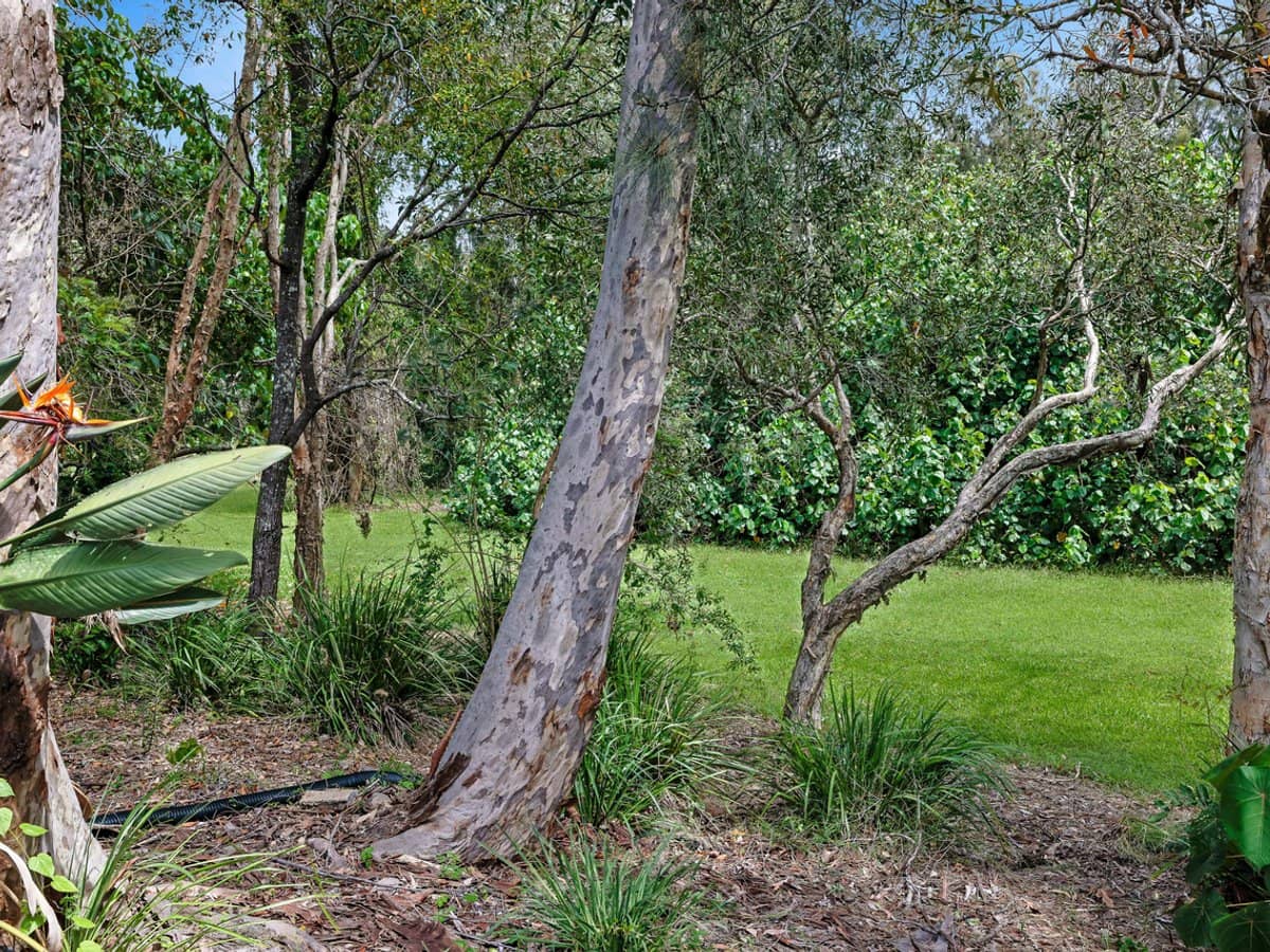 7 Melastoma Way, Arundel - Thumbnail 7