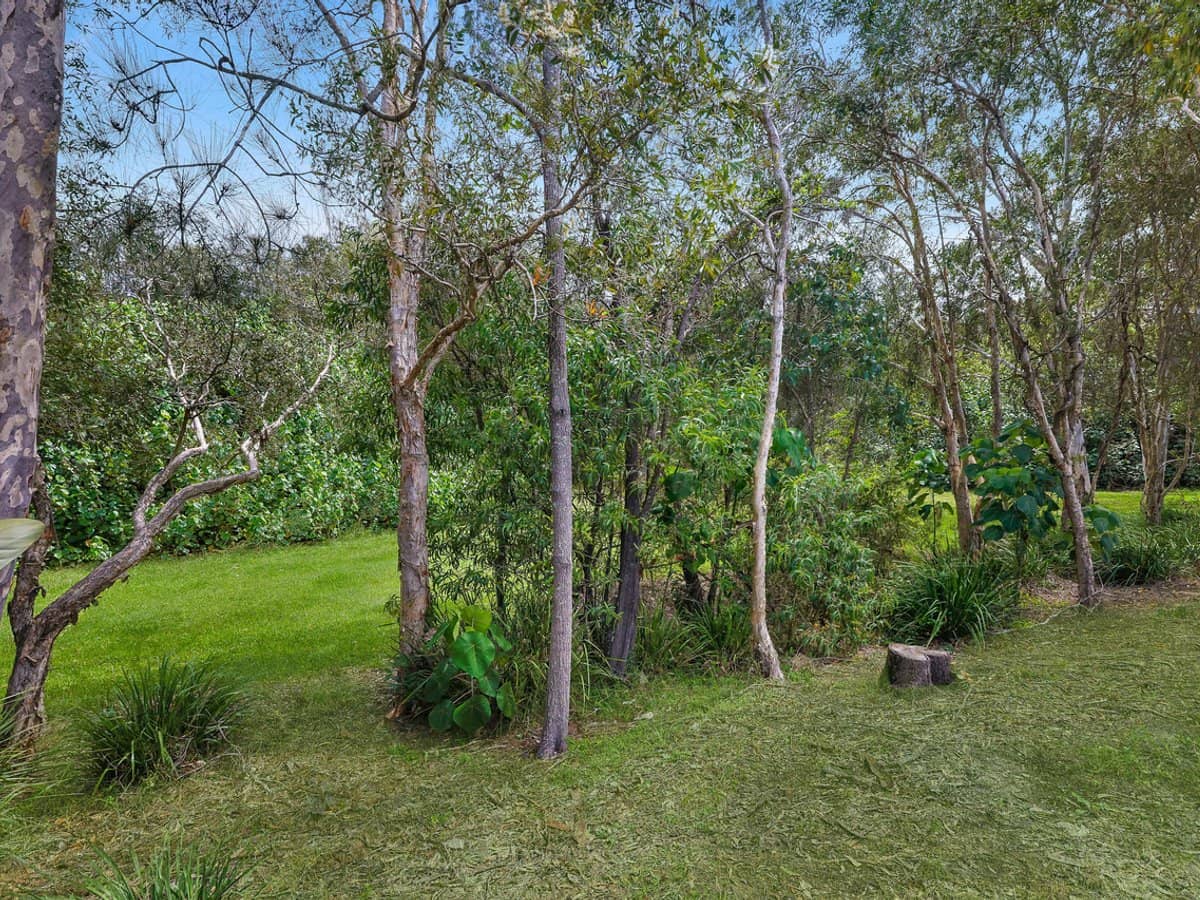 7 Melastoma Way, Arundel - Thumbnail 8