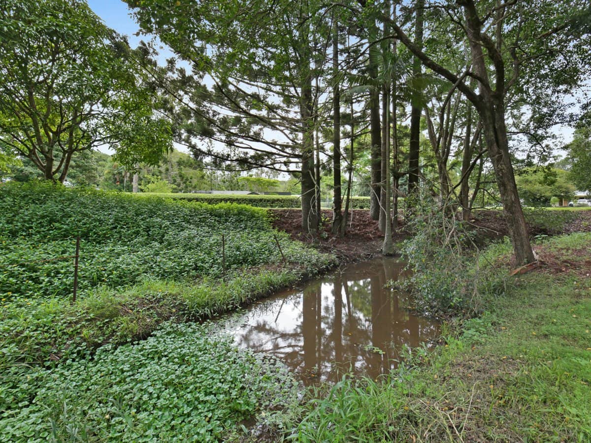 55 Coorabin Court, Tallebudgera - Thumbnail 11