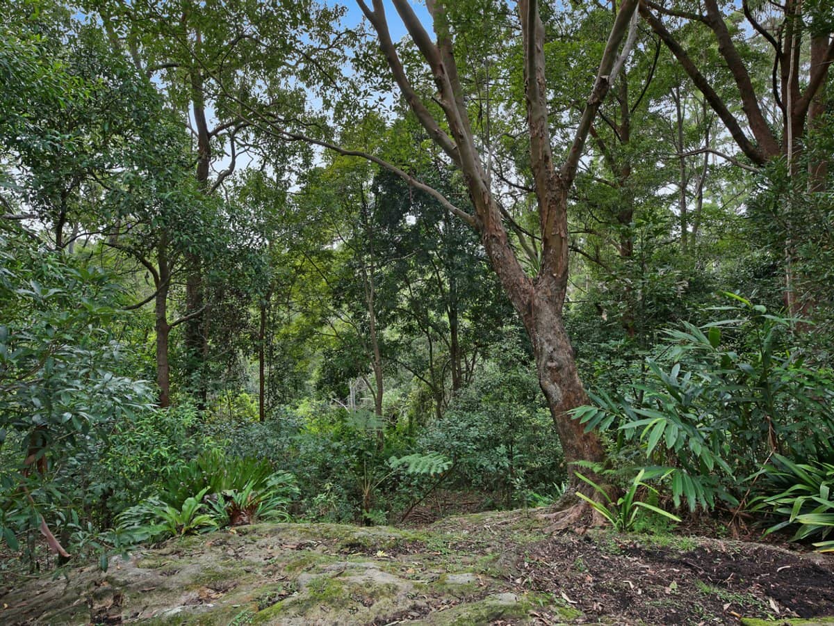 69-73 Timbarra Drive, BEECHMONT - Thumbnail 24