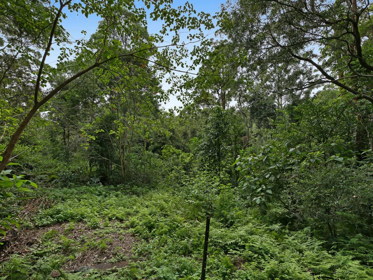 69-73 Timbarra Drive, BEECHMONT - Thumbnail 25