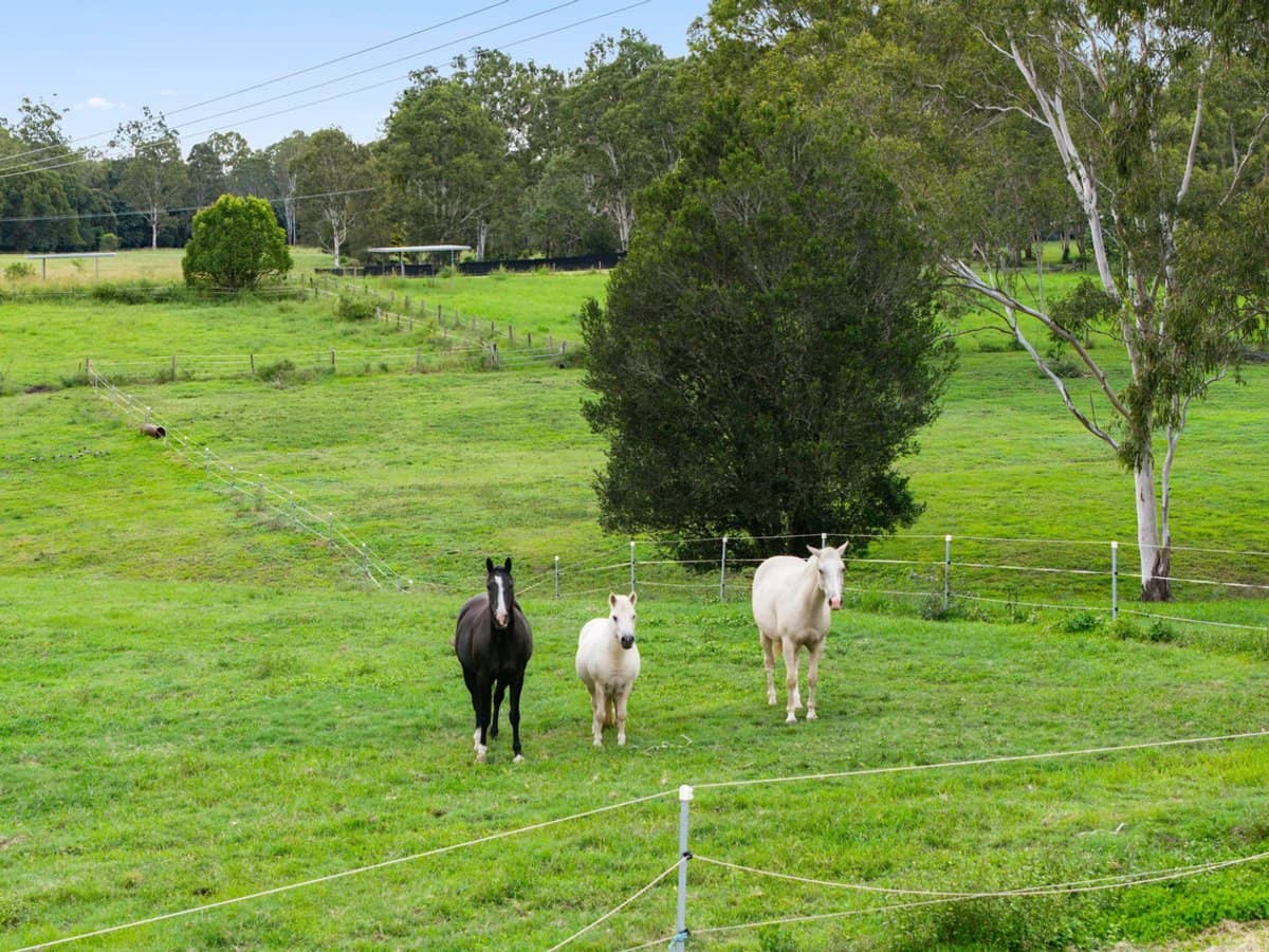 107-115 Garden Road, CEDAR CREEK - Thumbnail 31