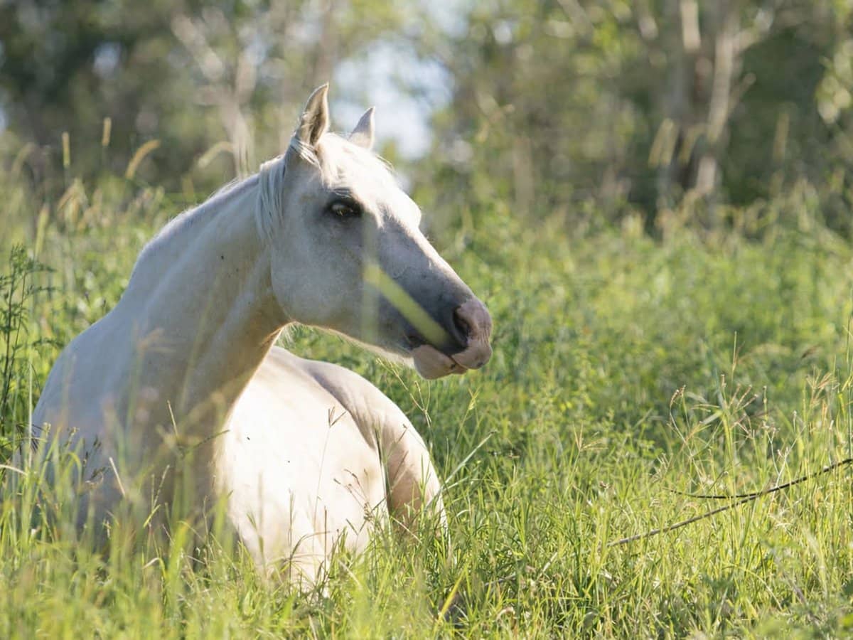 107-115 Garden Road, CEDAR CREEK - Thumbnail 32