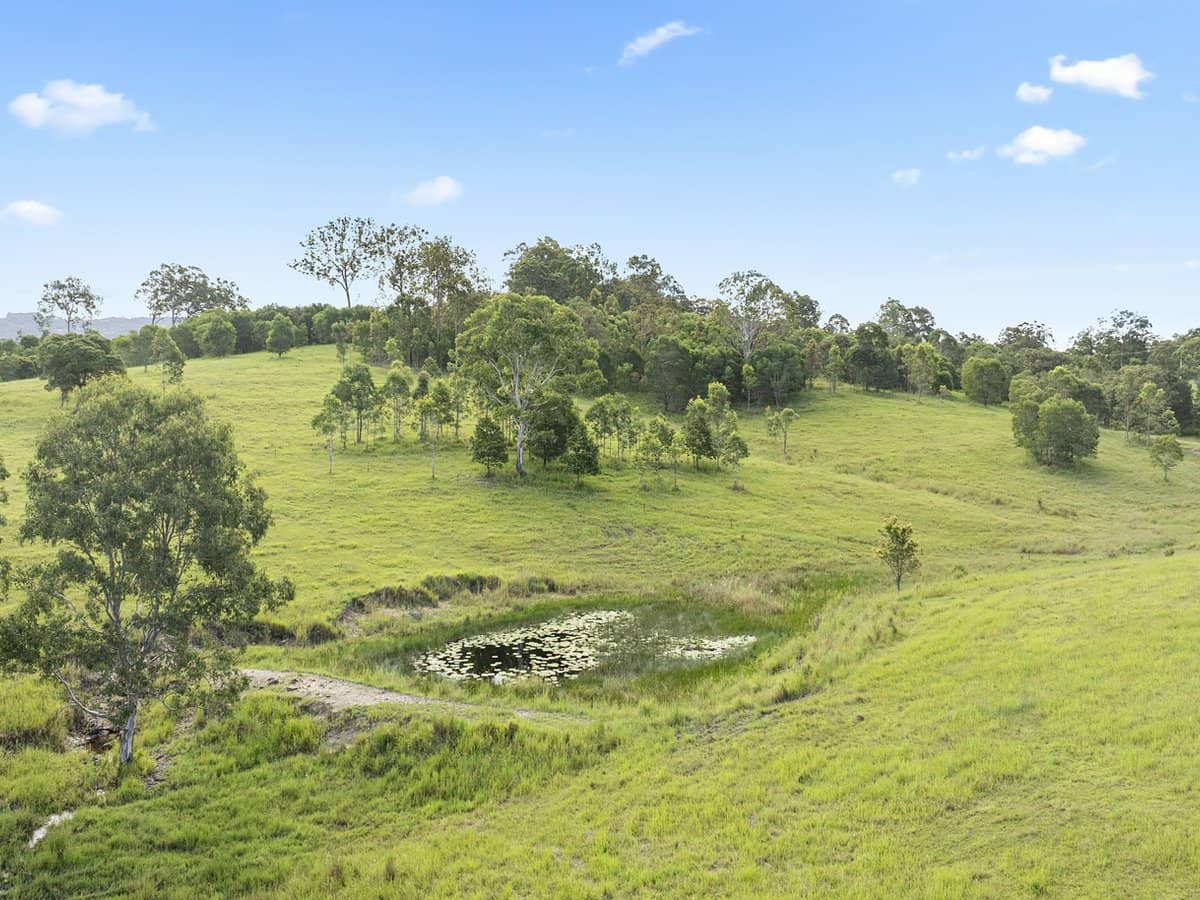 Lot 2 Guanaba Creek Road, GUANABA - Thumbnail 8