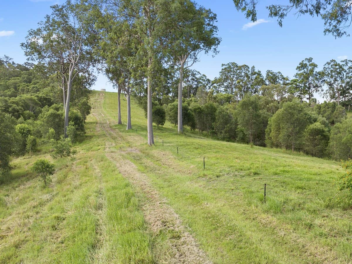 Lot 2 Guanaba Creek Road, GUANABA - Thumbnail 12