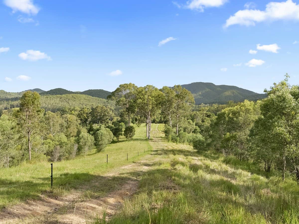 Lot 2 Guanaba Creek Road, GUANABA - Thumbnail 13