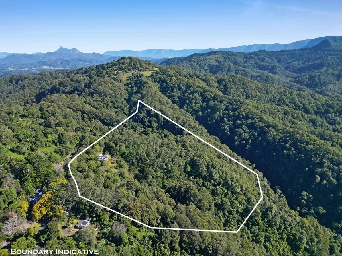 848 Tomewin Mountain Road, Currumbin Valley - Thumbnail 34