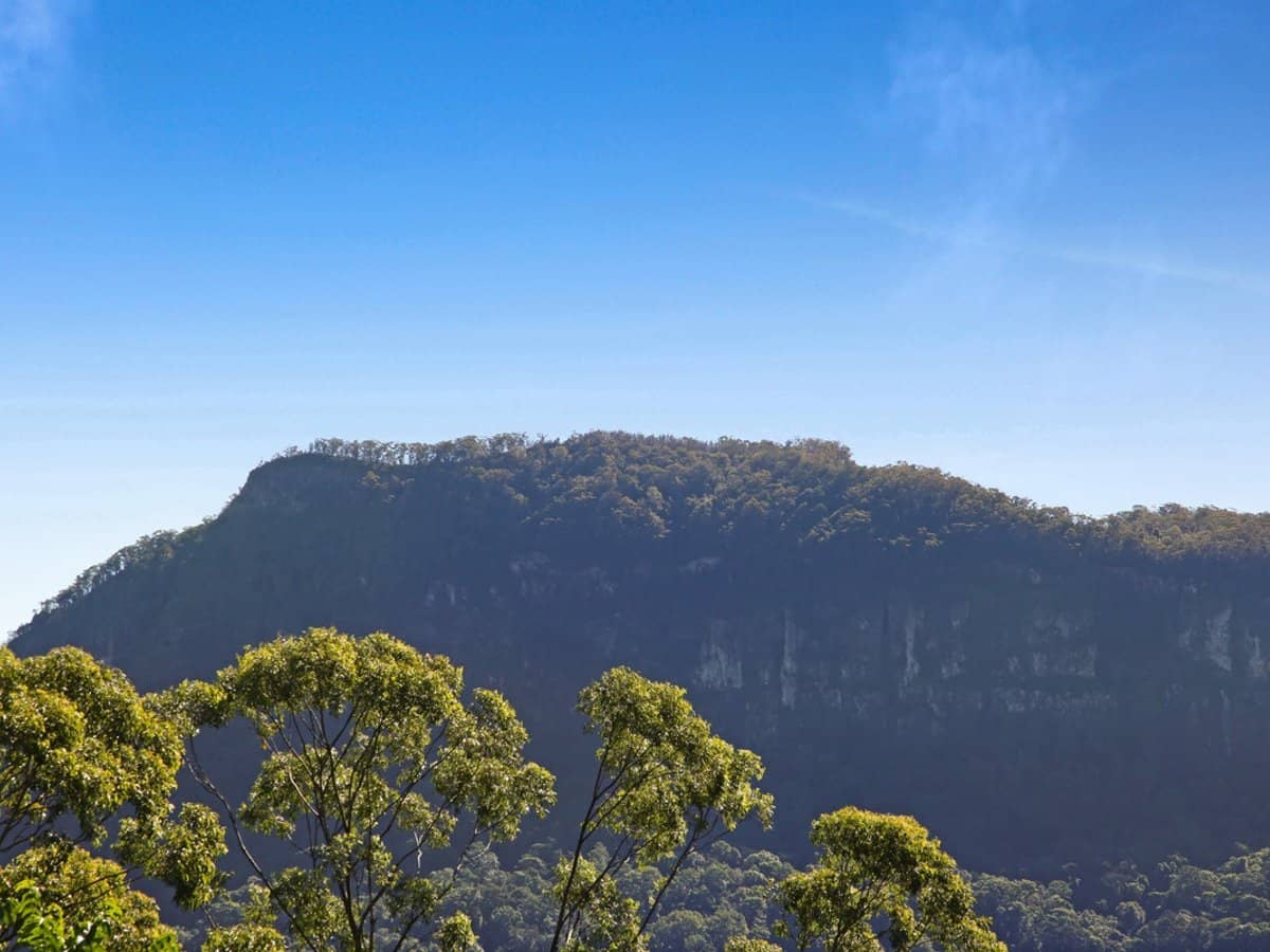 848 Tomewin Mountain Road, Currumbin Valley - Thumbnail 14