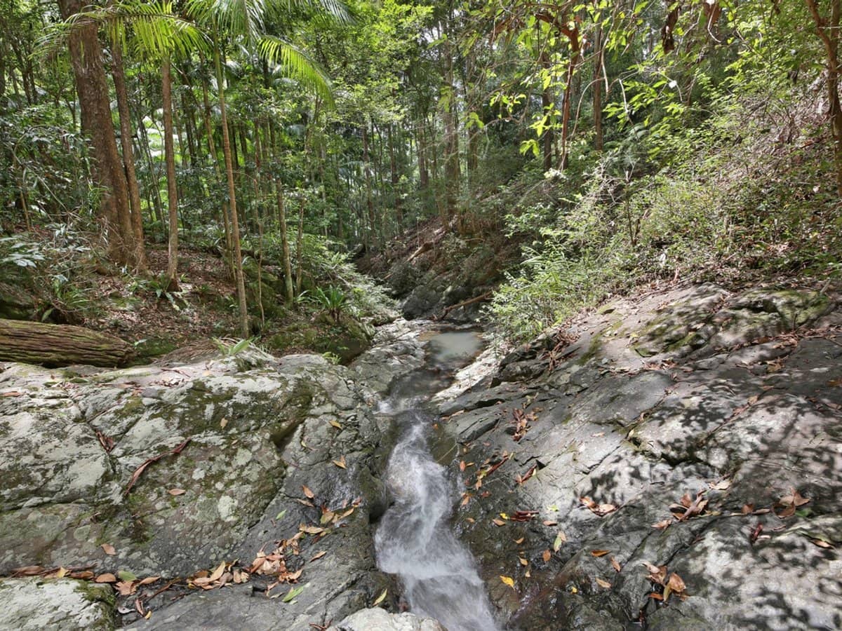 138 Araluen Road, Tallebudgera Valley - Thumbnail 27