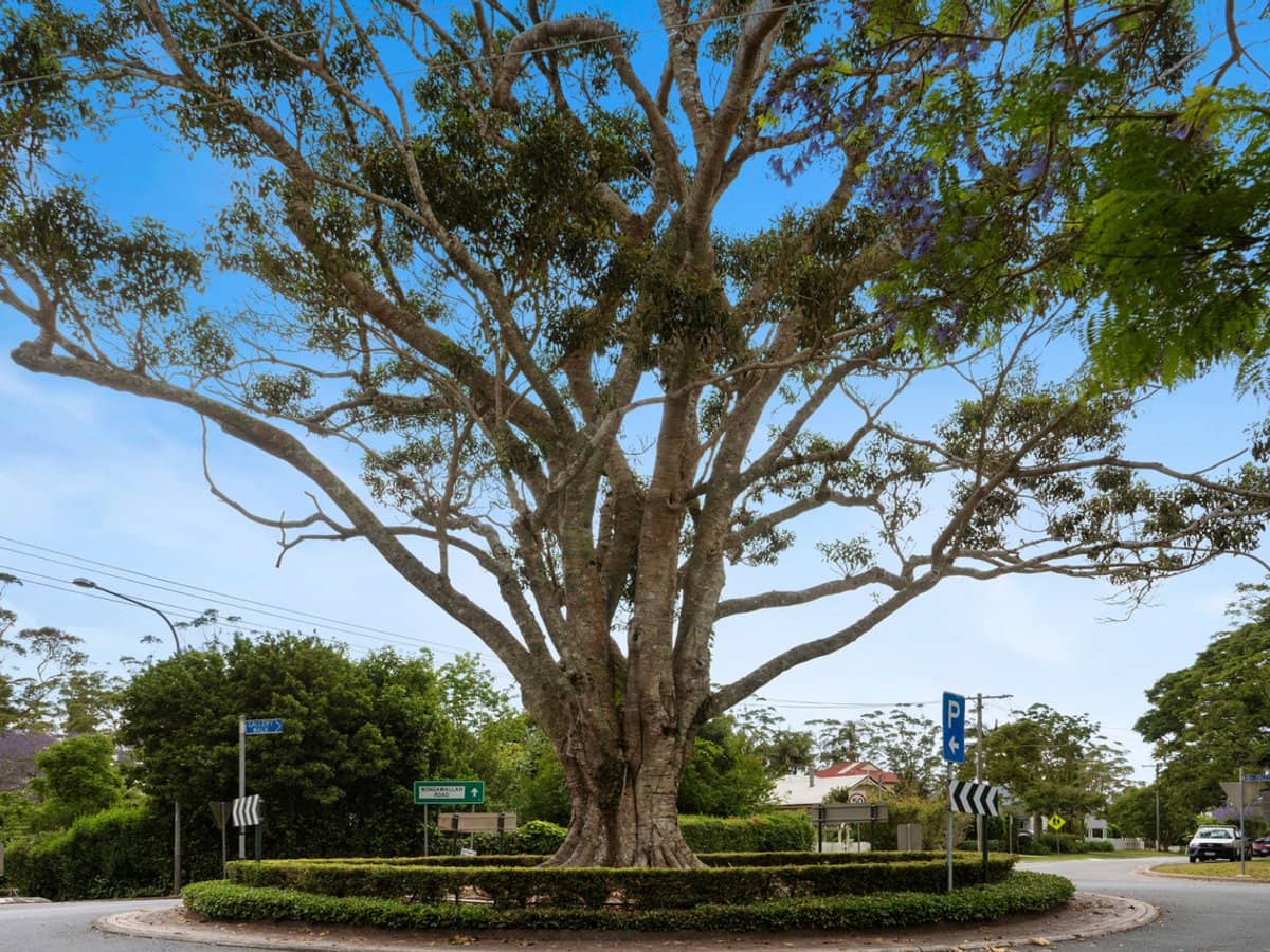 10/163 Curtis Road, Tamborine Mountain - Thumbnail 33