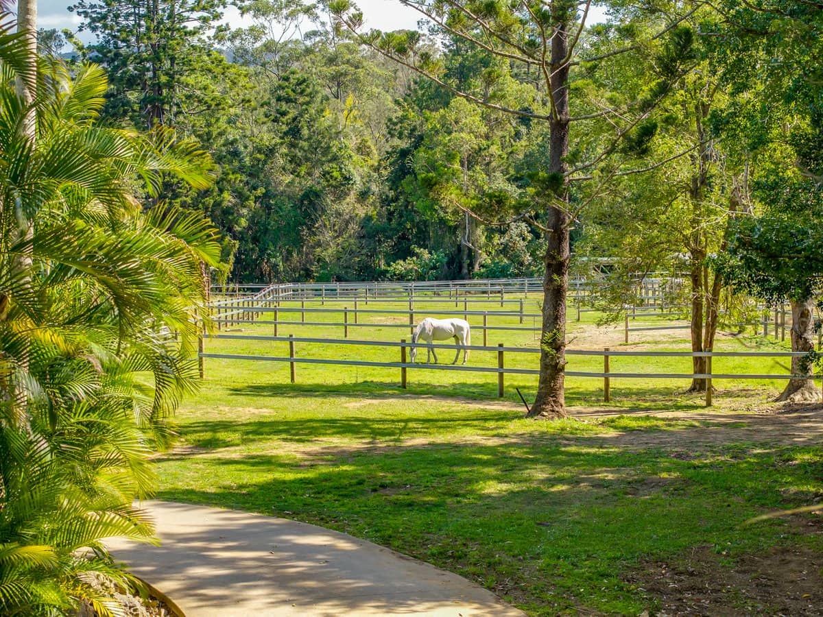 91 Currey Road, WONGAWALLAN - Thumbnail 7