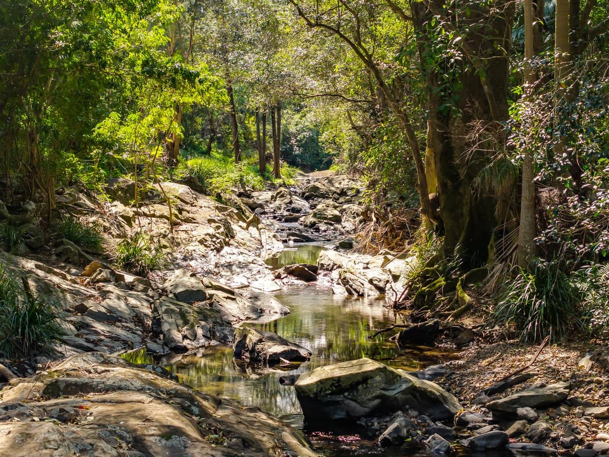 91 Currey Road, WONGAWALLAN - Thumbnail 8