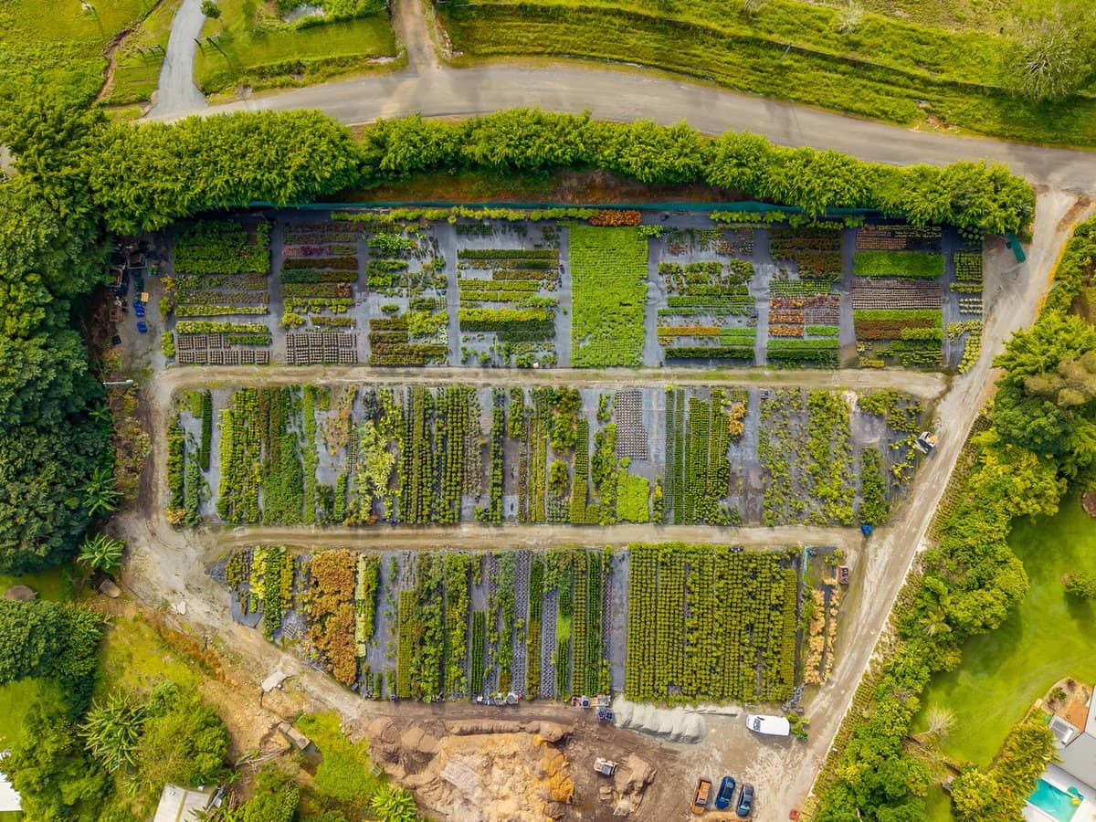 69 Currey Road, WONGAWALLAN - Thumbnail 3