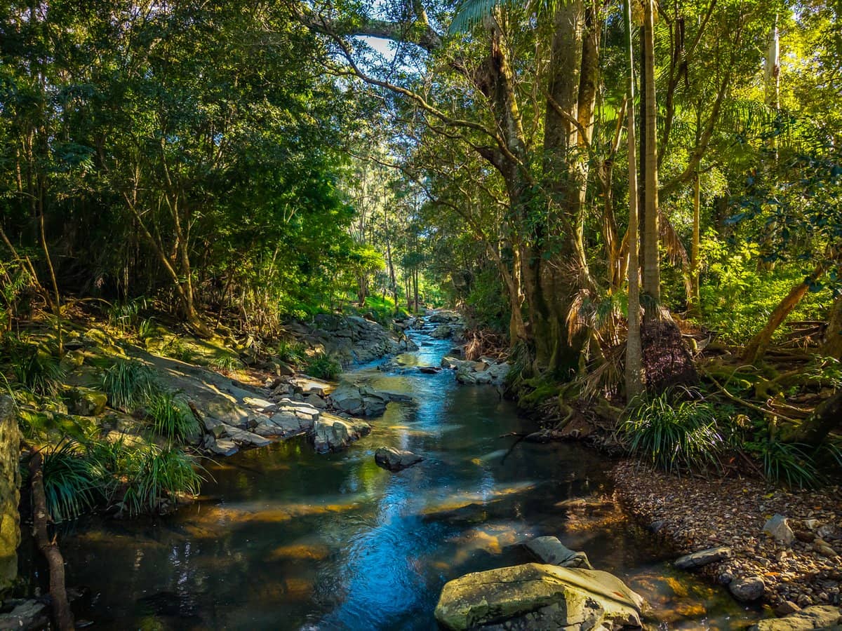 69 Currey Road, WONGAWALLAN - Thumbnail 4