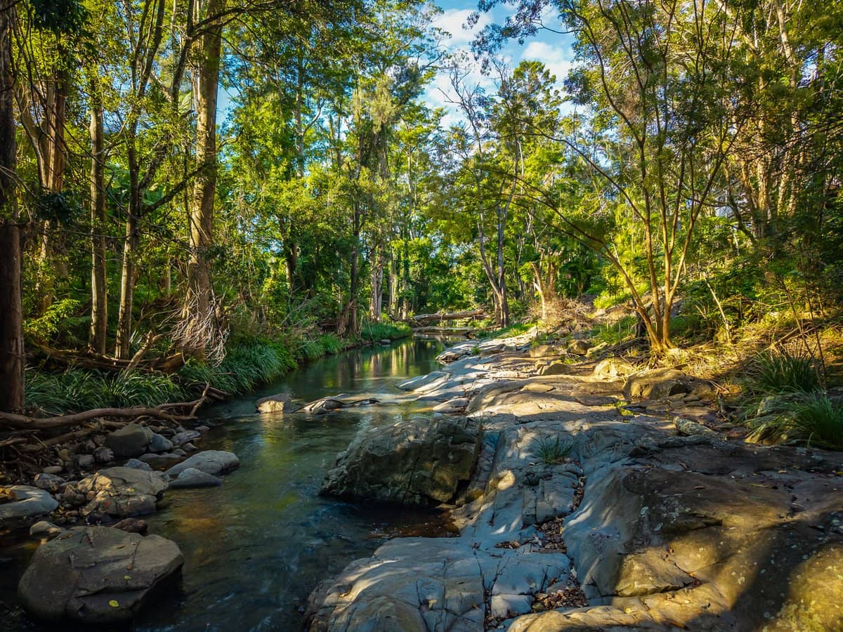 69 Currey Road, WONGAWALLAN - Thumbnail 5