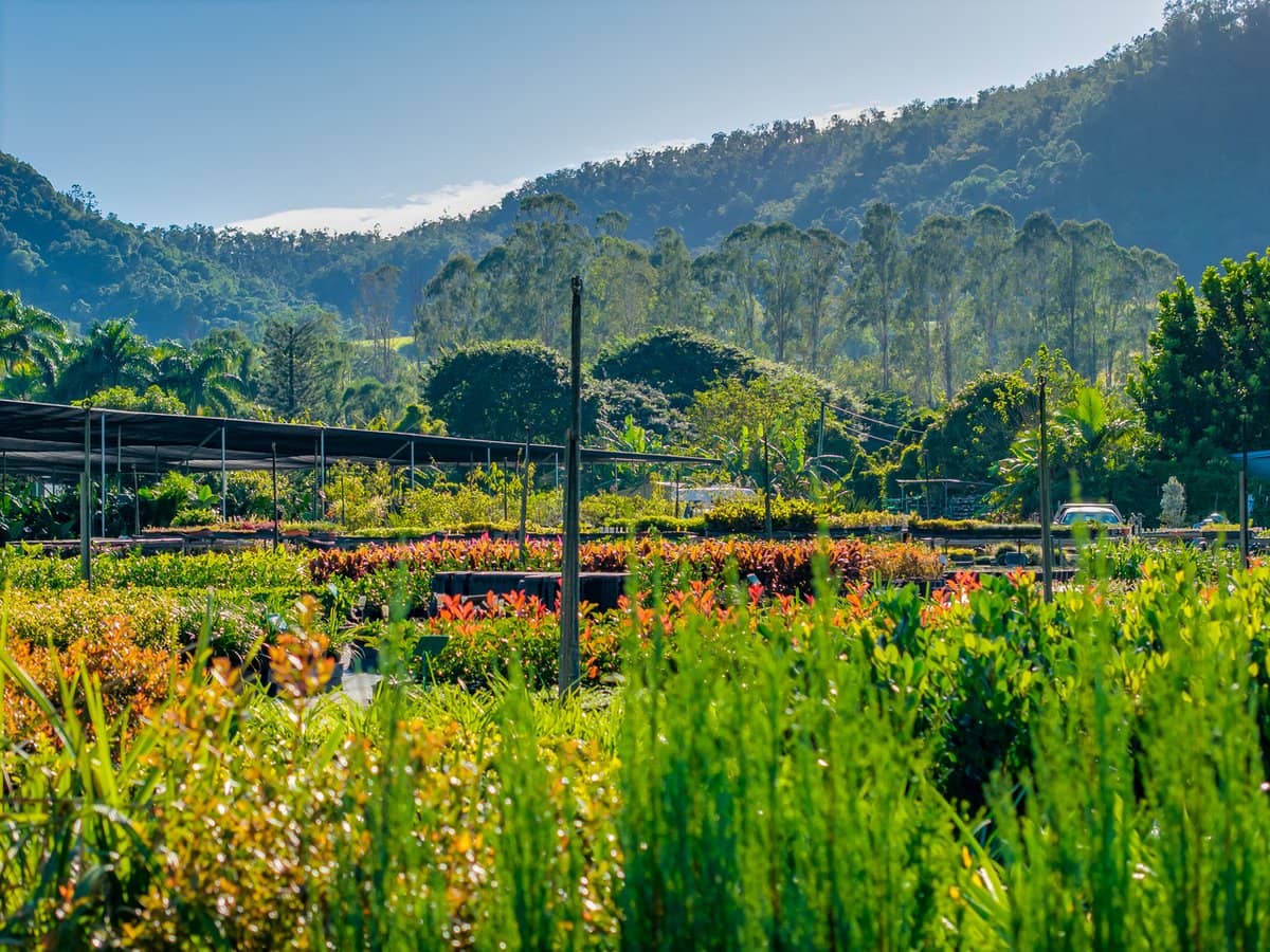 69 Currey Road, WONGAWALLAN - Thumbnail 7