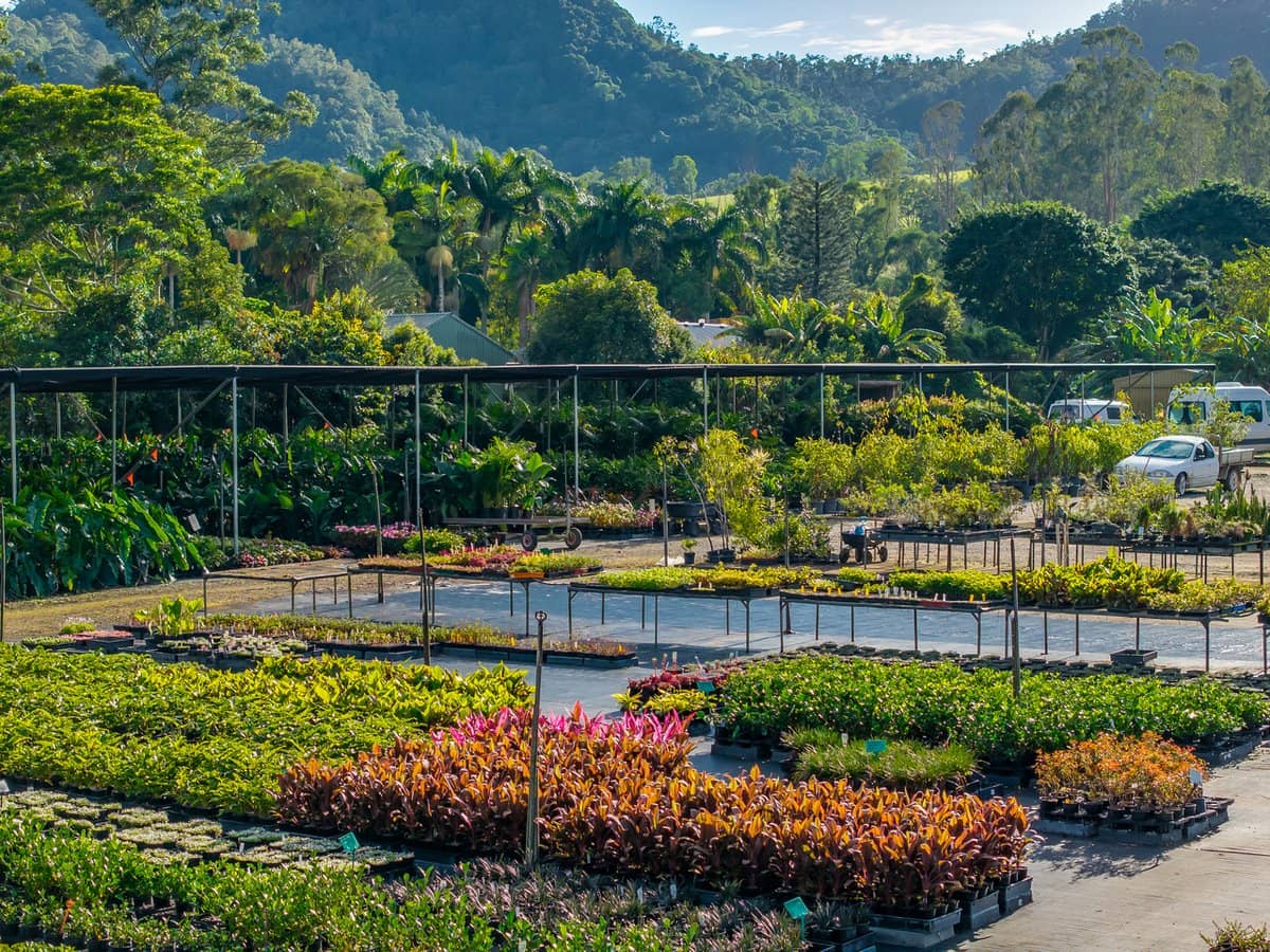 69 Currey Road, WONGAWALLAN - Thumbnail 9