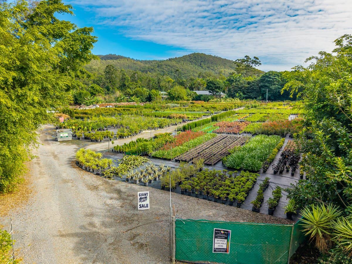 69 Currey Road, WONGAWALLAN - Thumbnail 10