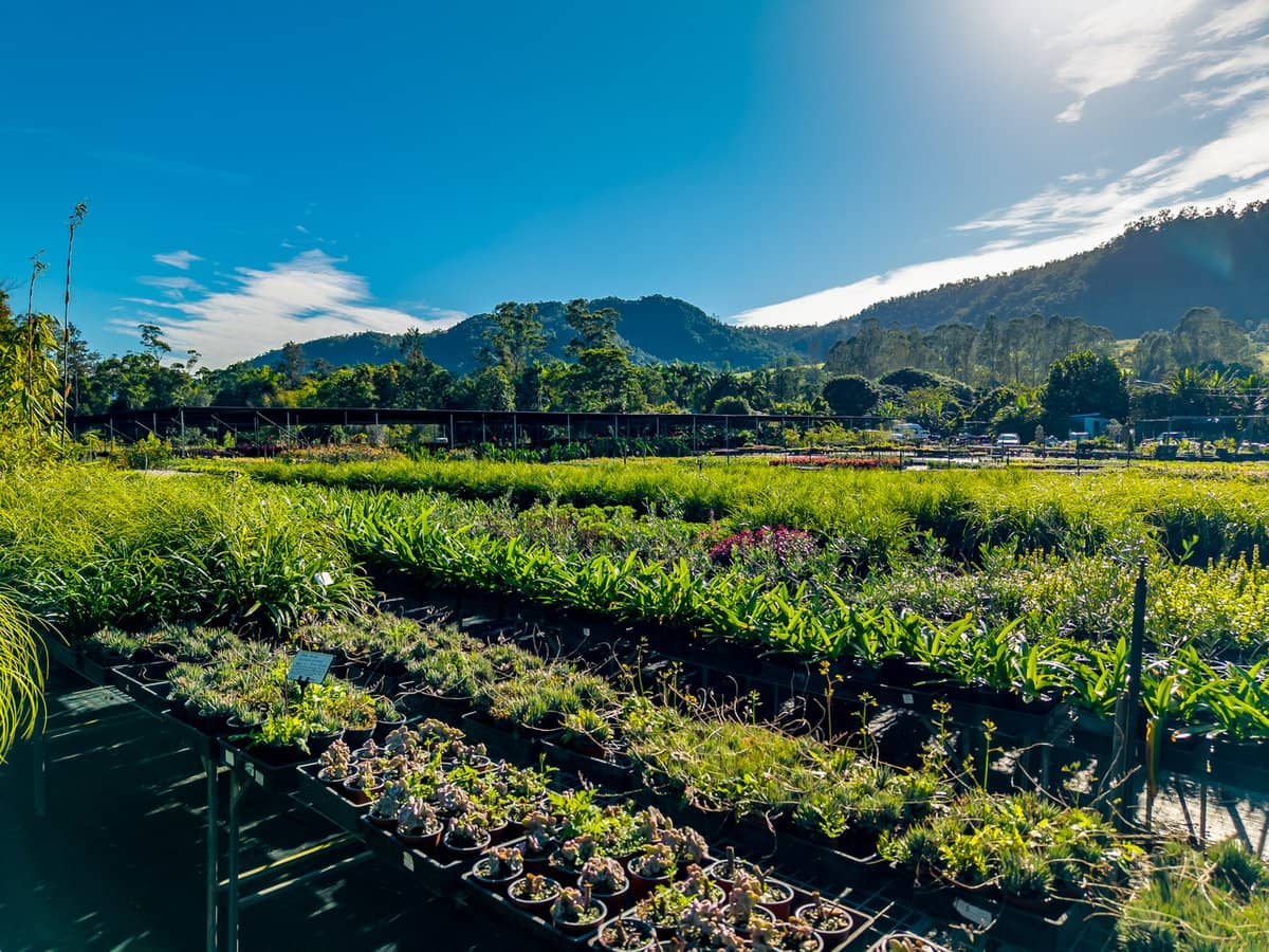 69 Currey Road, WONGAWALLAN - Thumbnail 11