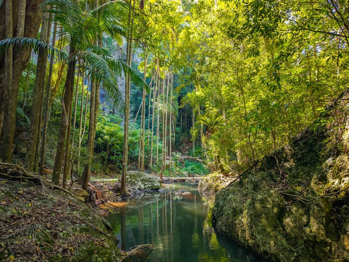 196-276 Kaiser Road, TAMBORINE MOUNTAIN - Thumbnail 1