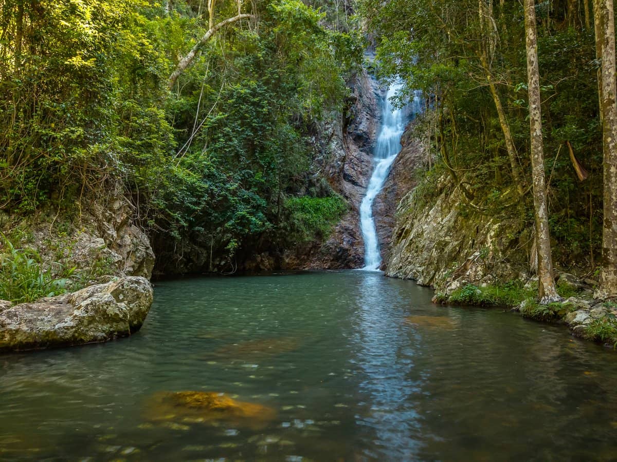 196-276 Kaiser Road, TAMBORINE MOUNTAIN - Thumbnail 3