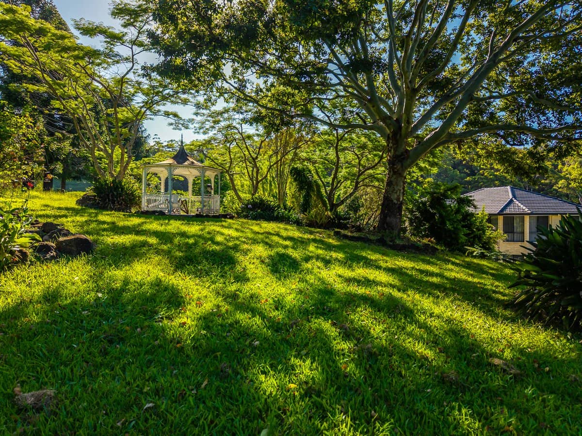 196-276 Kaiser Road, TAMBORINE MOUNTAIN - Thumbnail 7