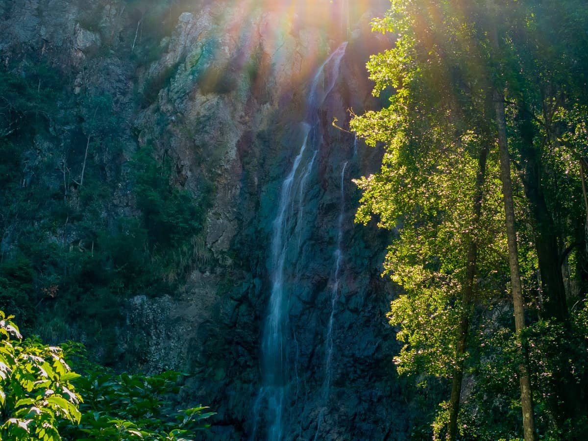 196-276 Kaiser Road, TAMBORINE MOUNTAIN - Thumbnail 10