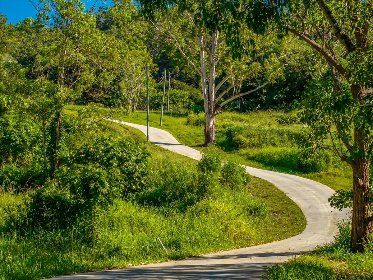 196-276 Kaiser Road, TAMBORINE MOUNTAIN - Thumbnail 16