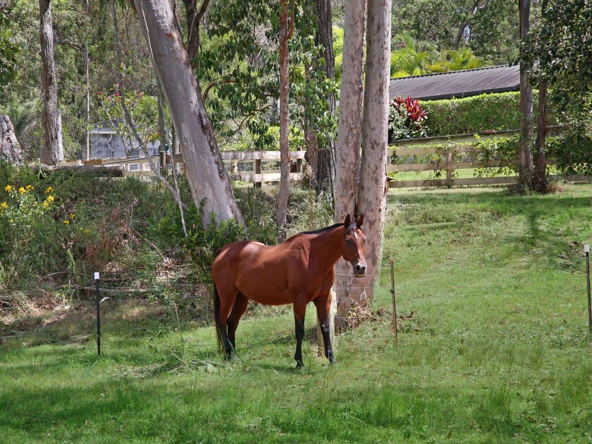 745 Gilston Road, GILSTON - Thumbnail 32