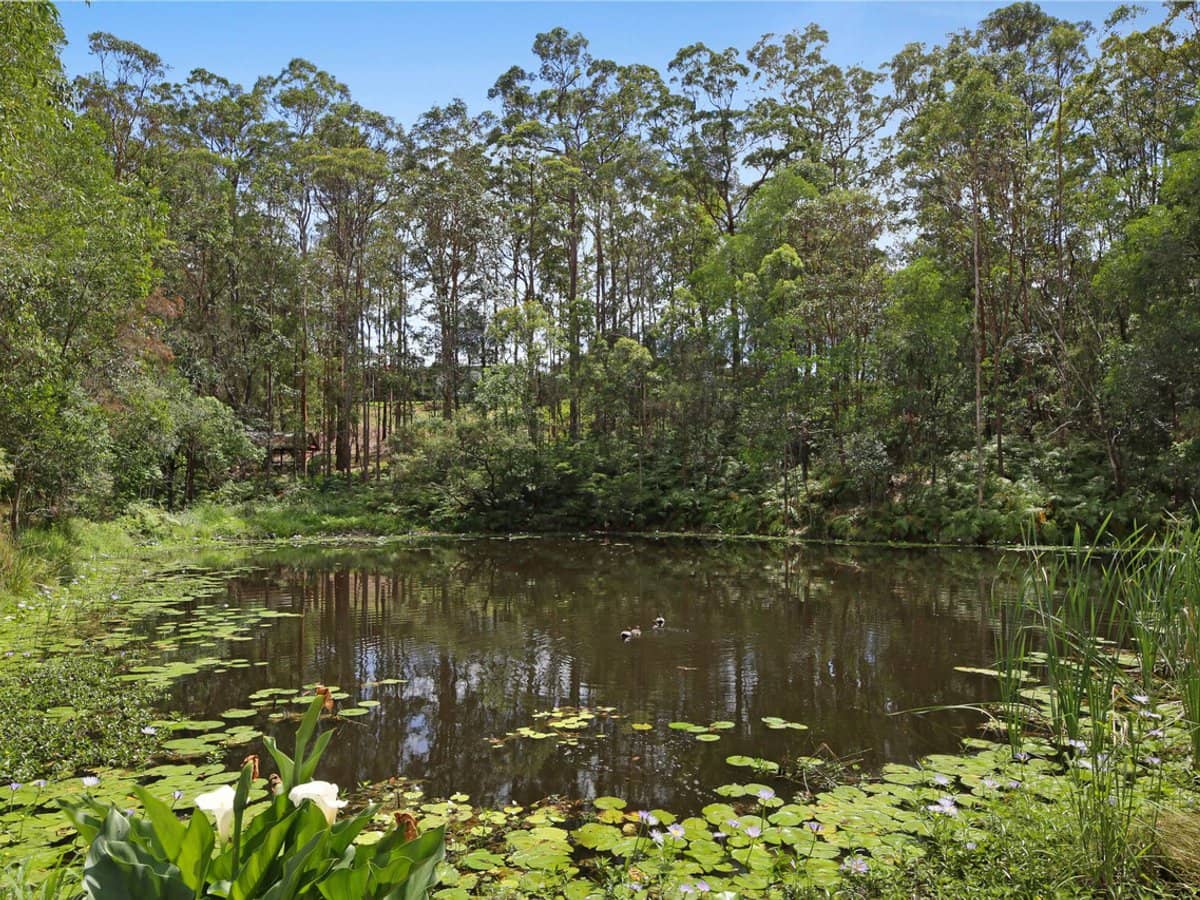 455 Bonogin Road, Bonogin - Thumbnail 8