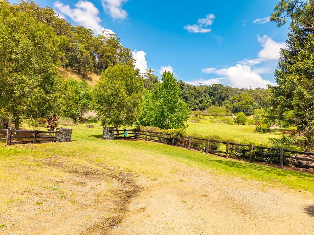 195-275 Kaiser Road, TAMBORINE MOUNTAIN - Thumbnail 3