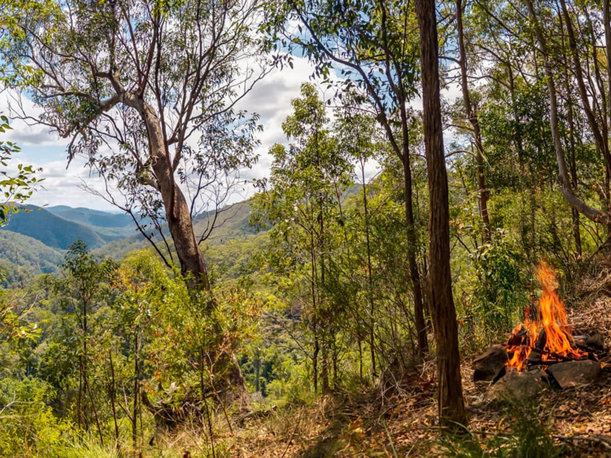 195-275 Kaiser Road, TAMBORINE MOUNTAIN - Thumbnail 8