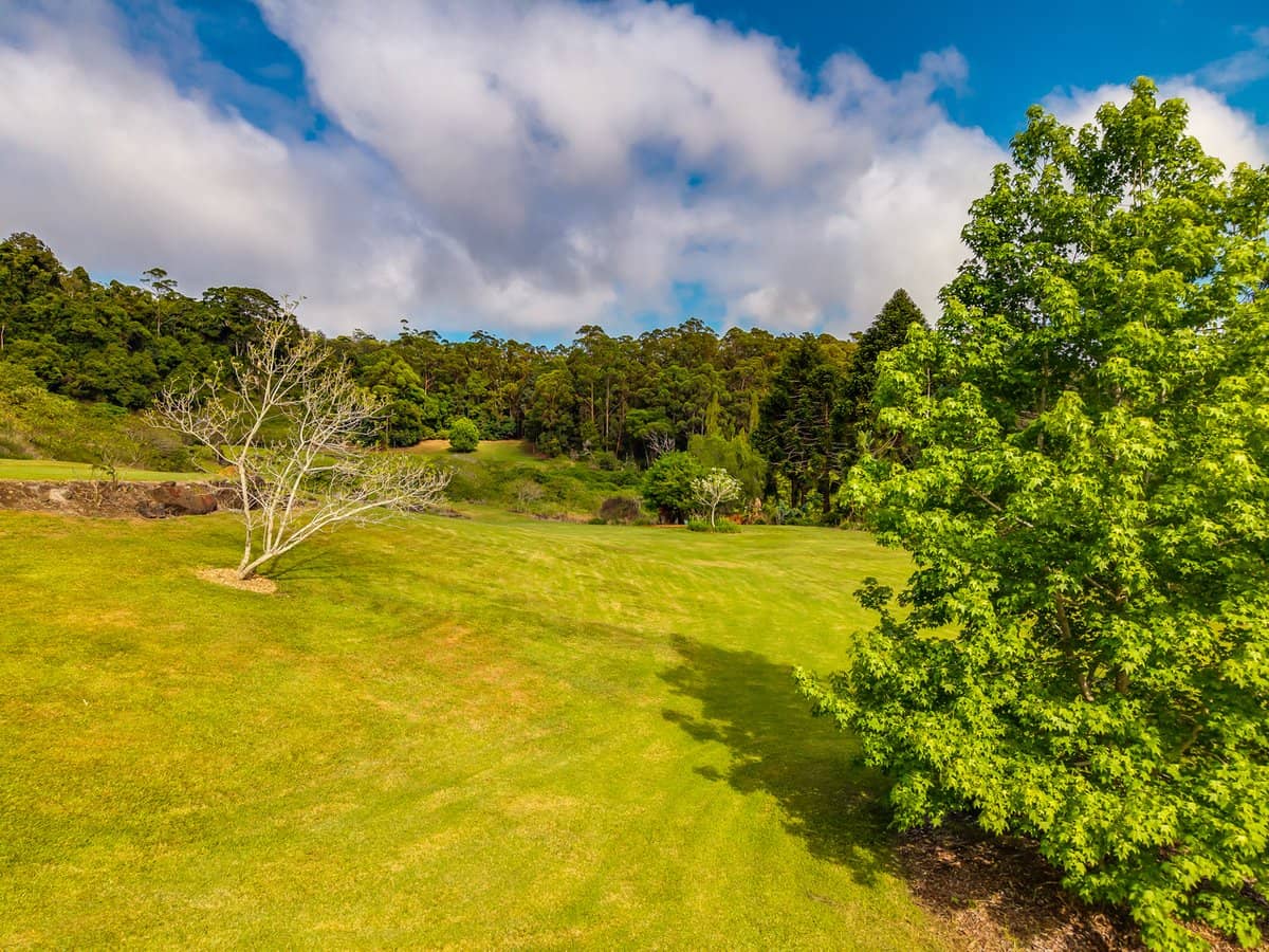 195-275 Kaiser Road, TAMBORINE MOUNTAIN - Thumbnail 14