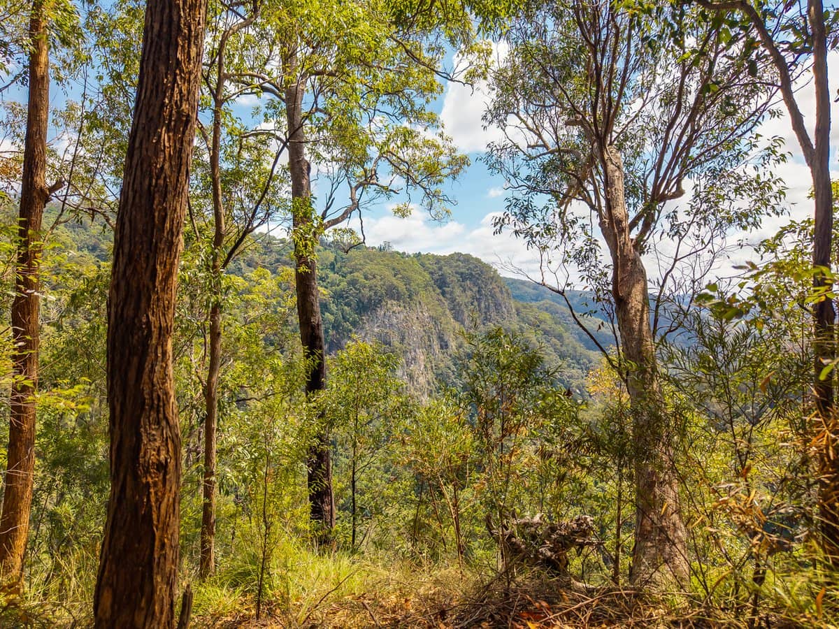 195-275 Kaiser Road, TAMBORINE MOUNTAIN - Thumbnail 19