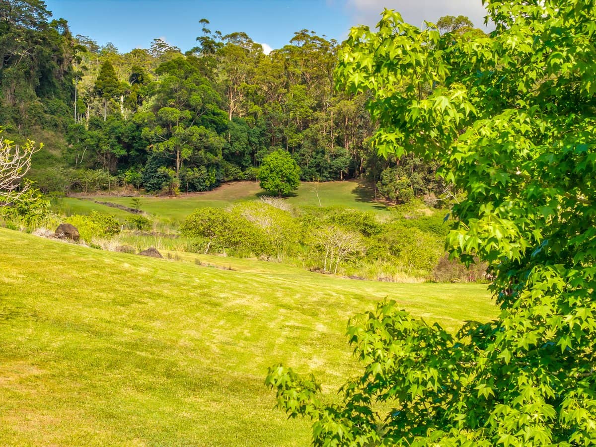 195-275 Kaiser Road, TAMBORINE MOUNTAIN - Thumbnail 22