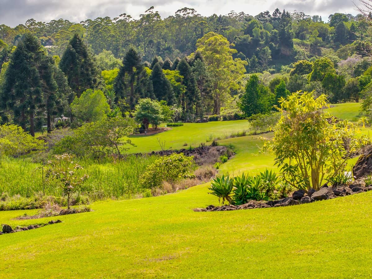 195-275 Kaiser Road, TAMBORINE MOUNTAIN - Thumbnail 23