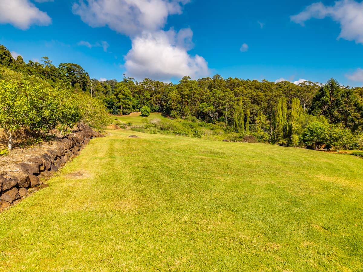 195-275 Kaiser Road, TAMBORINE MOUNTAIN - Thumbnail 24