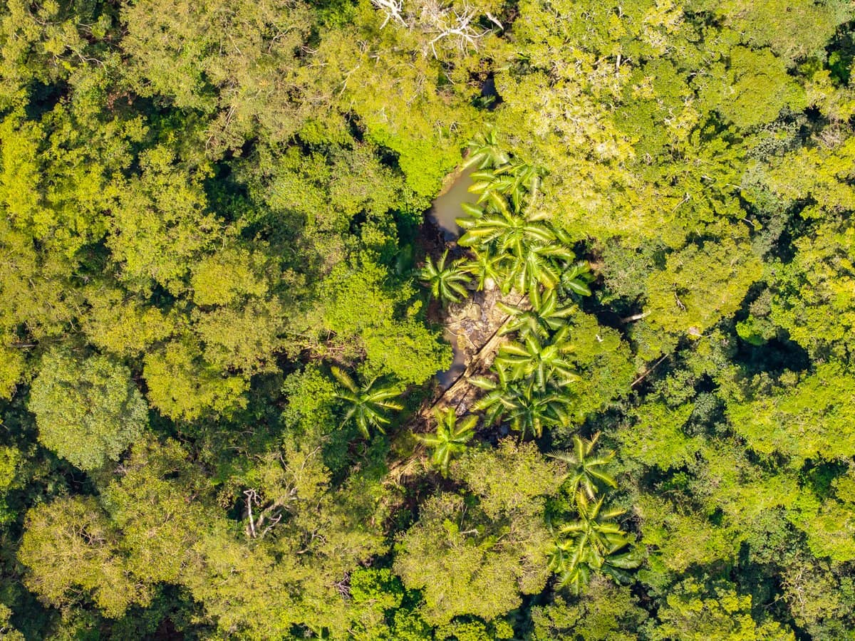 195-275 Kaiser Road, TAMBORINE MOUNTAIN - Thumbnail 27