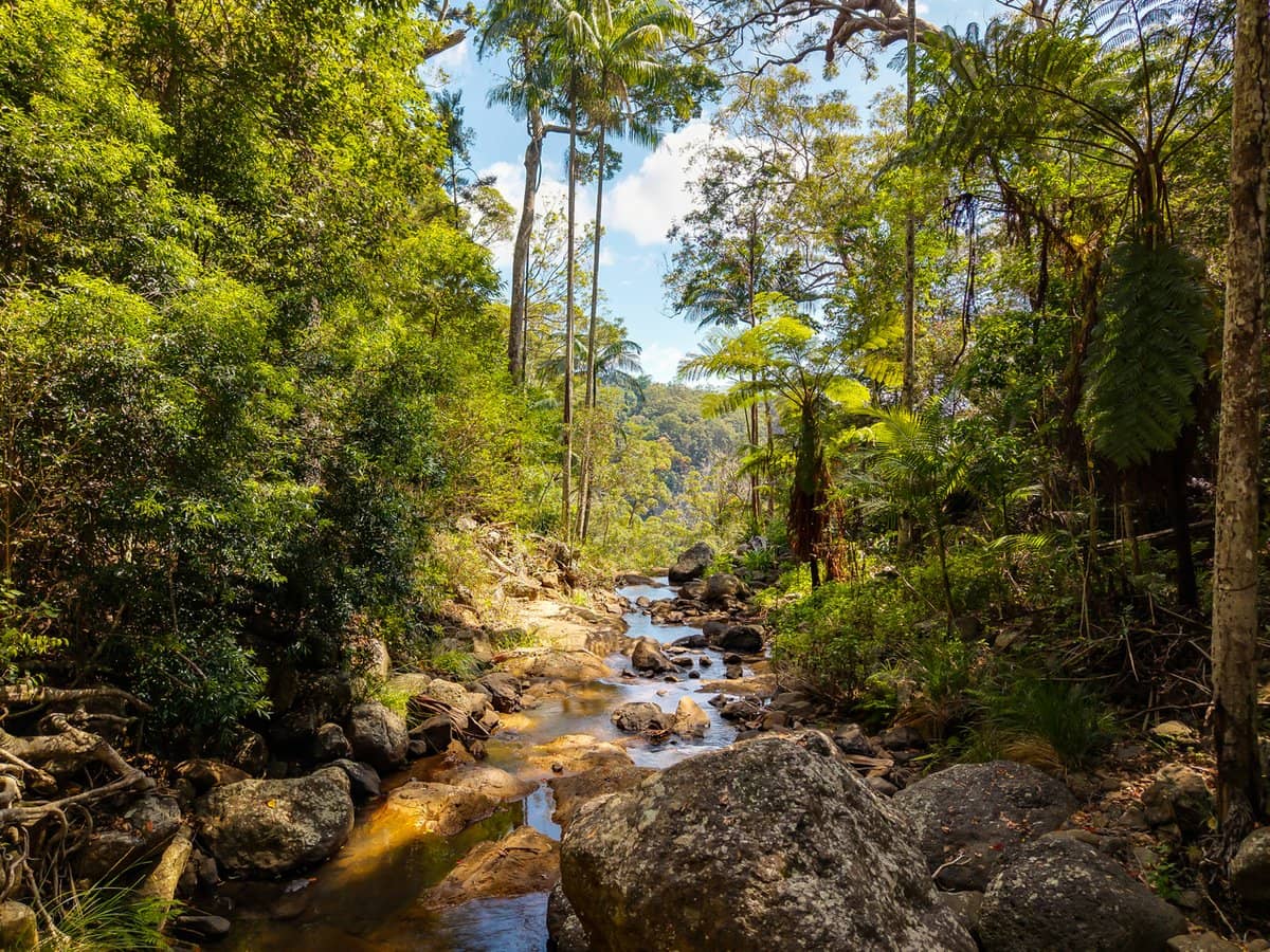 195-275 Kaiser Road, TAMBORINE MOUNTAIN - Thumbnail 29