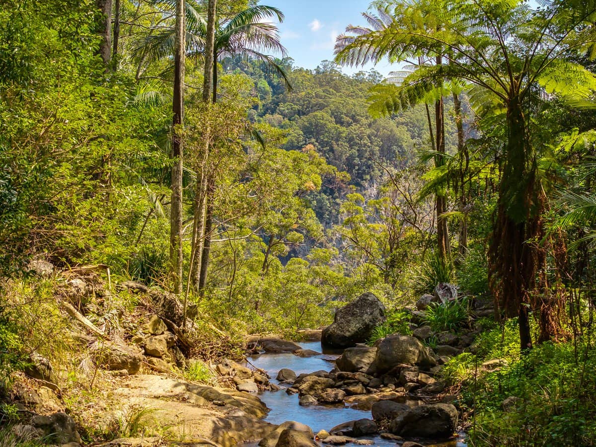 195-275 Kaiser Road, TAMBORINE MOUNTAIN - Thumbnail 31