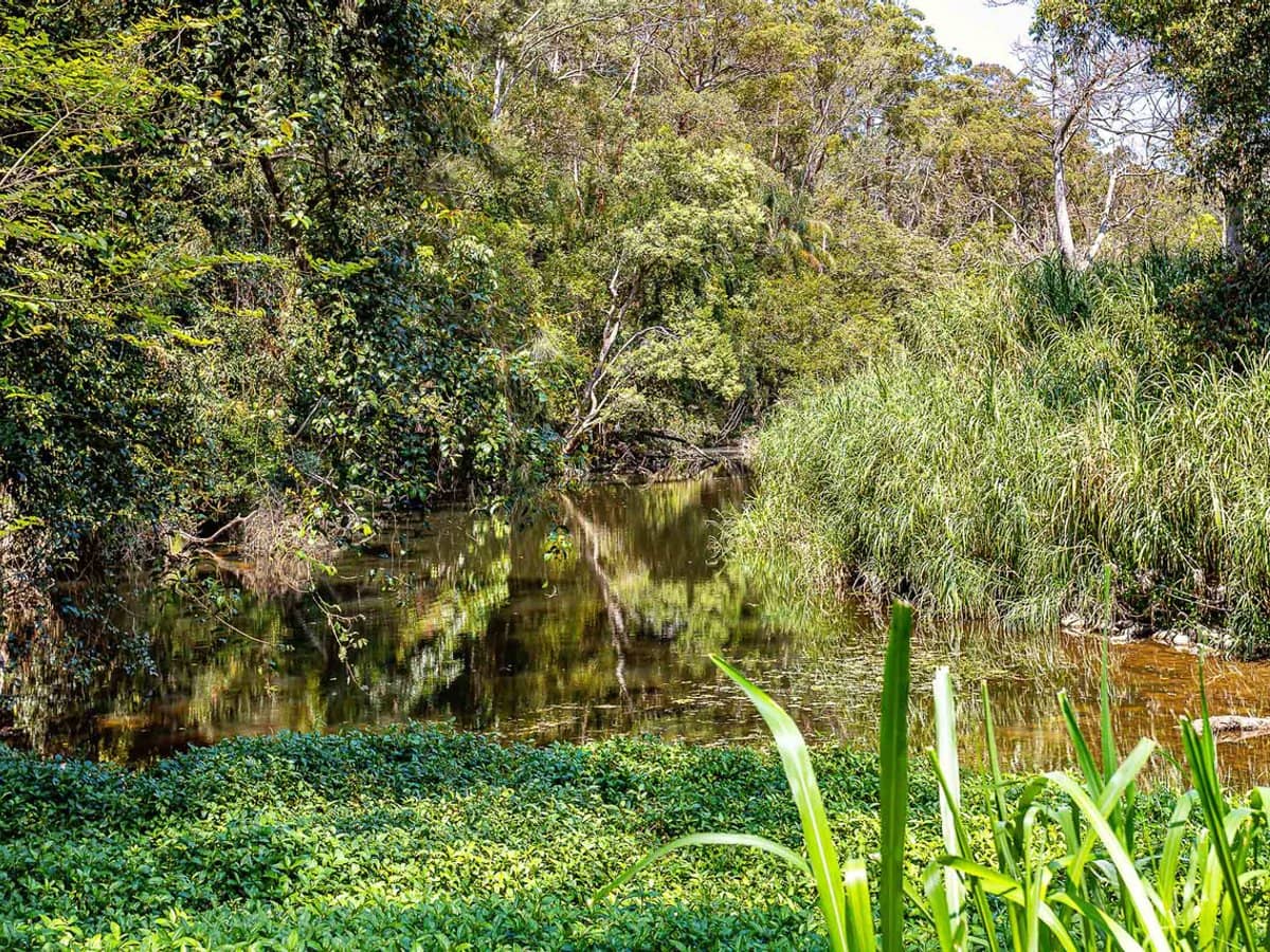 3 Mark Way, MUDGEERABA - Thumbnail 6